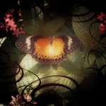 Photoshop butterfly