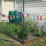 Flags and a garden update