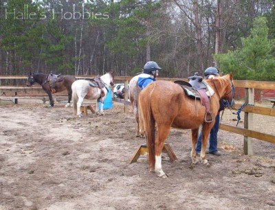 horseback riding