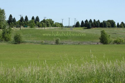 rural landscape 3