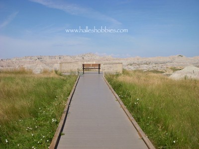 28-rattlesnake shake