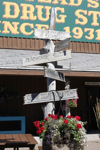 5-camp disappointment