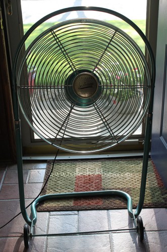 50s fan