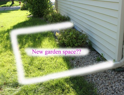 potential garden space