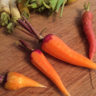 not so colorful carrots