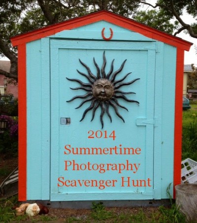 2014 summer photo hunt