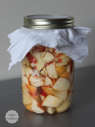 Homemade apple cider vinegar t tuesday waste not edition | Halle's hobbies