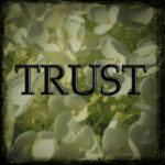 Trust: 2019 word in review