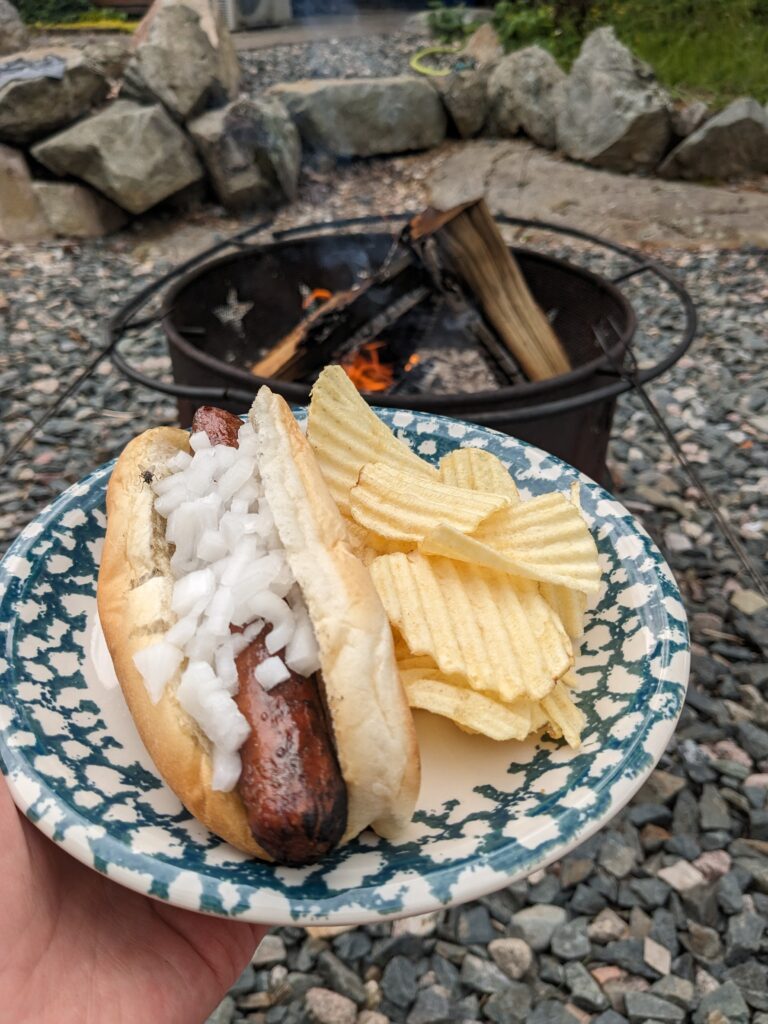 Campfire hotdogs 